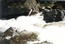 Река Пыжа (Алтай). Август 2001. Один из порогов водопадов